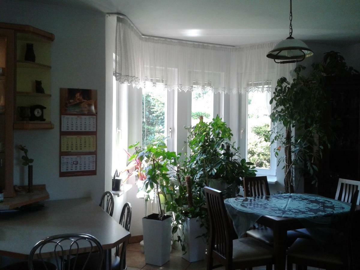 Dom Na Skarpie Villa Wierzbica  Kültér fotó